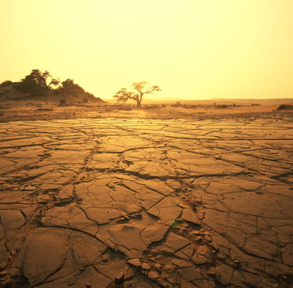 Os módulos se adaptam a qualquer condição climática